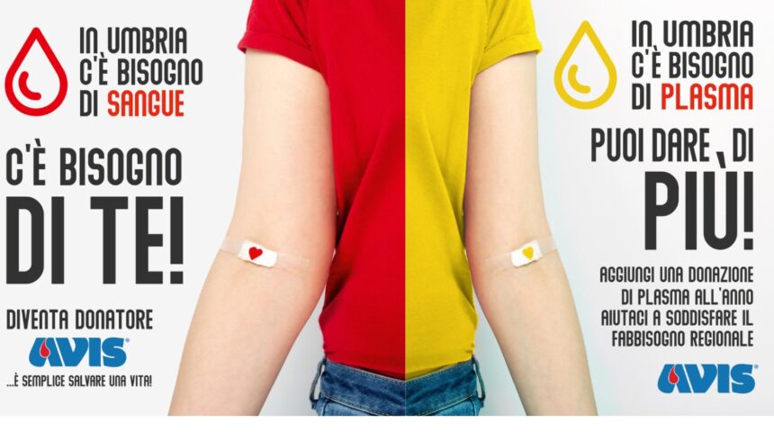 Campagna di sensibilizzazione per le donazioni di sangue “C’è Bisogno di Te!” e donazioni di plasma “Puoi dare di Più!”